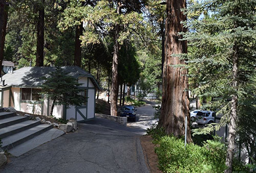 lake-arrowhead-cabin